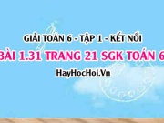 Bài 1.31 SGK Toán 6 tập 1 Kết nối tri thức